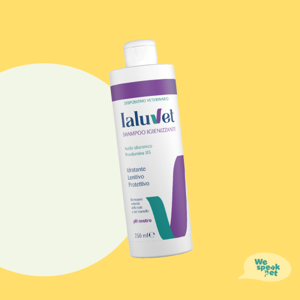 Ialuvet Shampoo